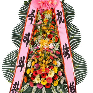 축하45